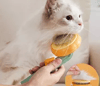 Pumpkin Pet Brush