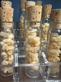 Image 4 of Frankincense infused Vanilla Jojoba
