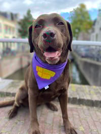 Image 5 of Halloween Plaid/I Do Tricks for Treats REVERSIBLE bandana 