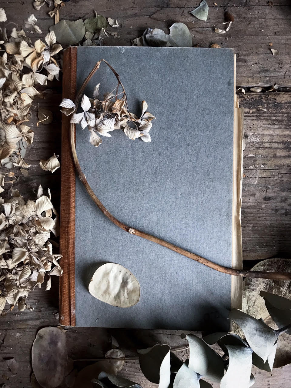 Image of 2 hour Coaching + 4 week Access and Support for Quiet Creatives Parcel