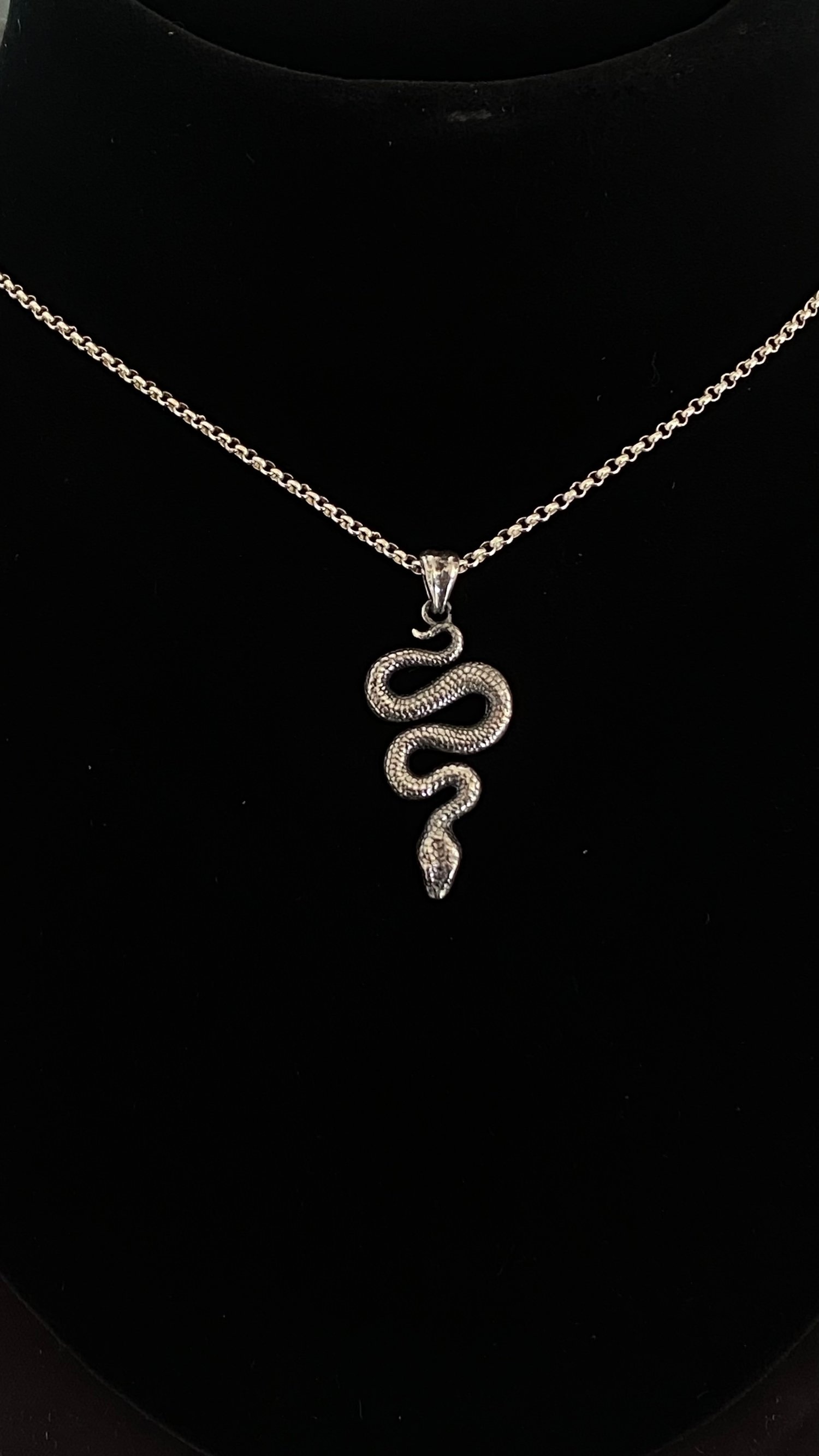 Image of Snake Pendant