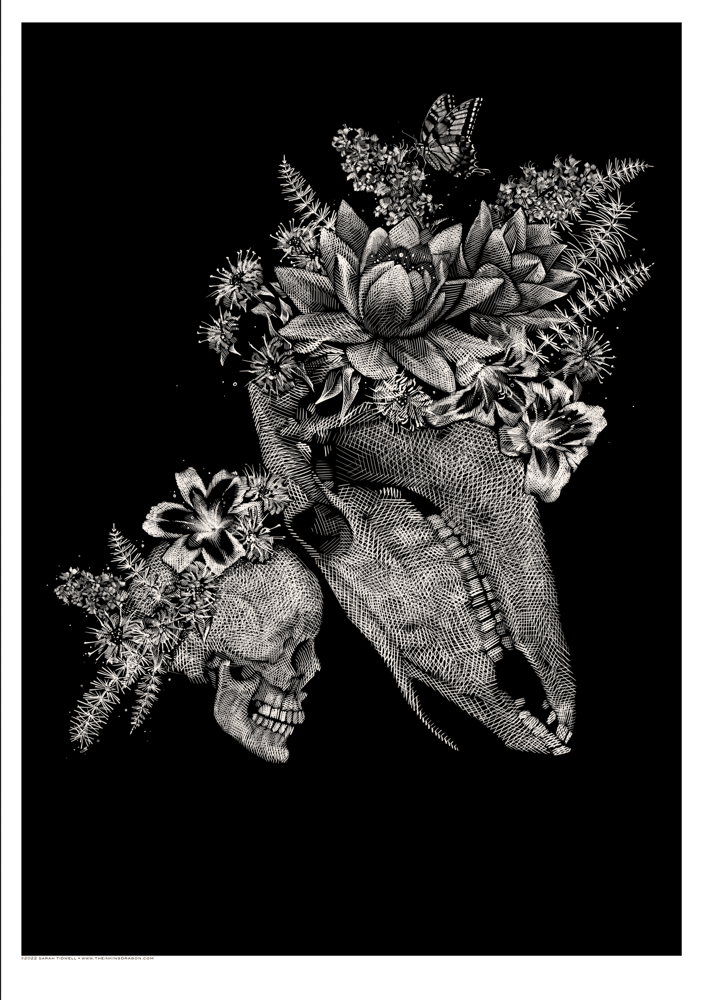 Image of 'Equus' - Print
