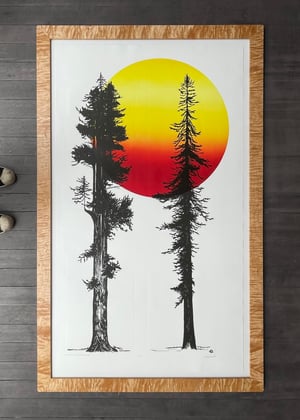 Giant Redwood and Douglas Fir Sunrise Framed in Salvaged Western Maple