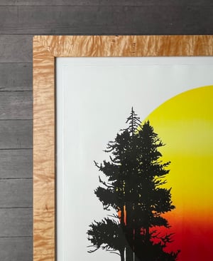 Giant Redwood and Douglas Fir Sunrise Framed in Salvaged Western Maple