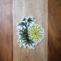 Image 1 of Cannabis & Florals - Color Stickers