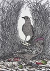 'Pink Crown' (Linocut of the Great Bowerbird) (4 available)