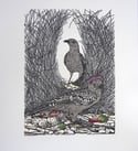 'Pink Crown' (Linocut of the Great Bowerbird) (4 available)