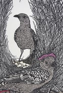 'Pink Crown' (Linocut of the Great Bowerbird) (4 available)