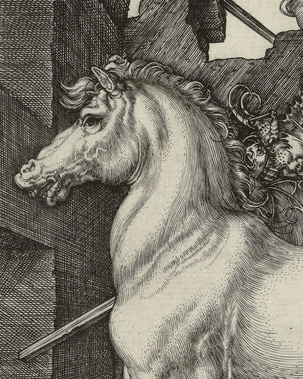 Albrecht Dürer (1471-1528)