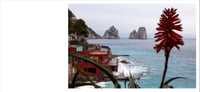 Image 4 of SPECIAL 2024 Edition * photobook * Bella Italia - on beauty & ugliness *