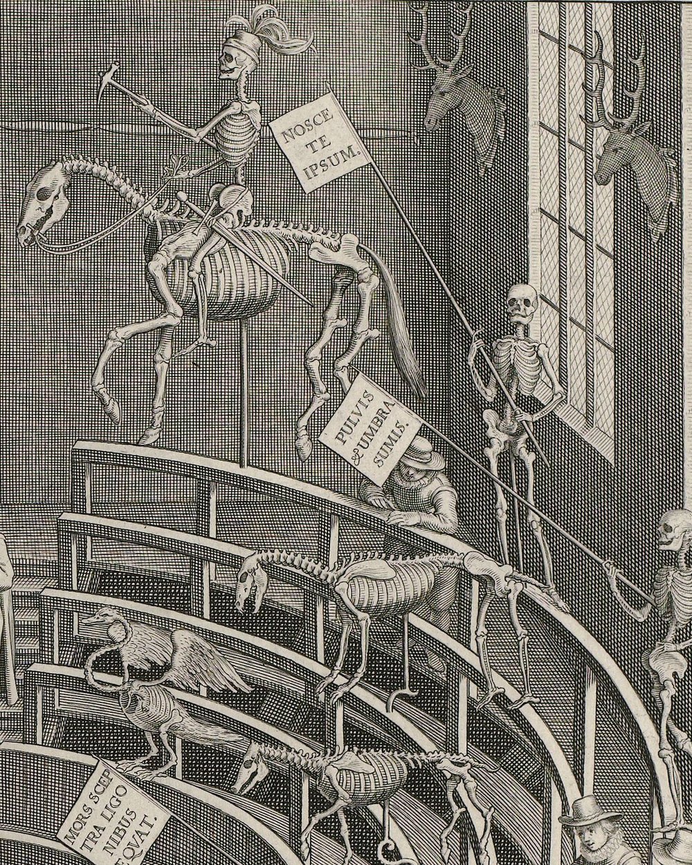 ''Anatomisch theater van de Universiteit Leiden'' (1644)