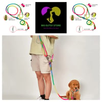 Reflective Nylon Leashes