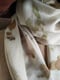 Image of Grand foulard en soie