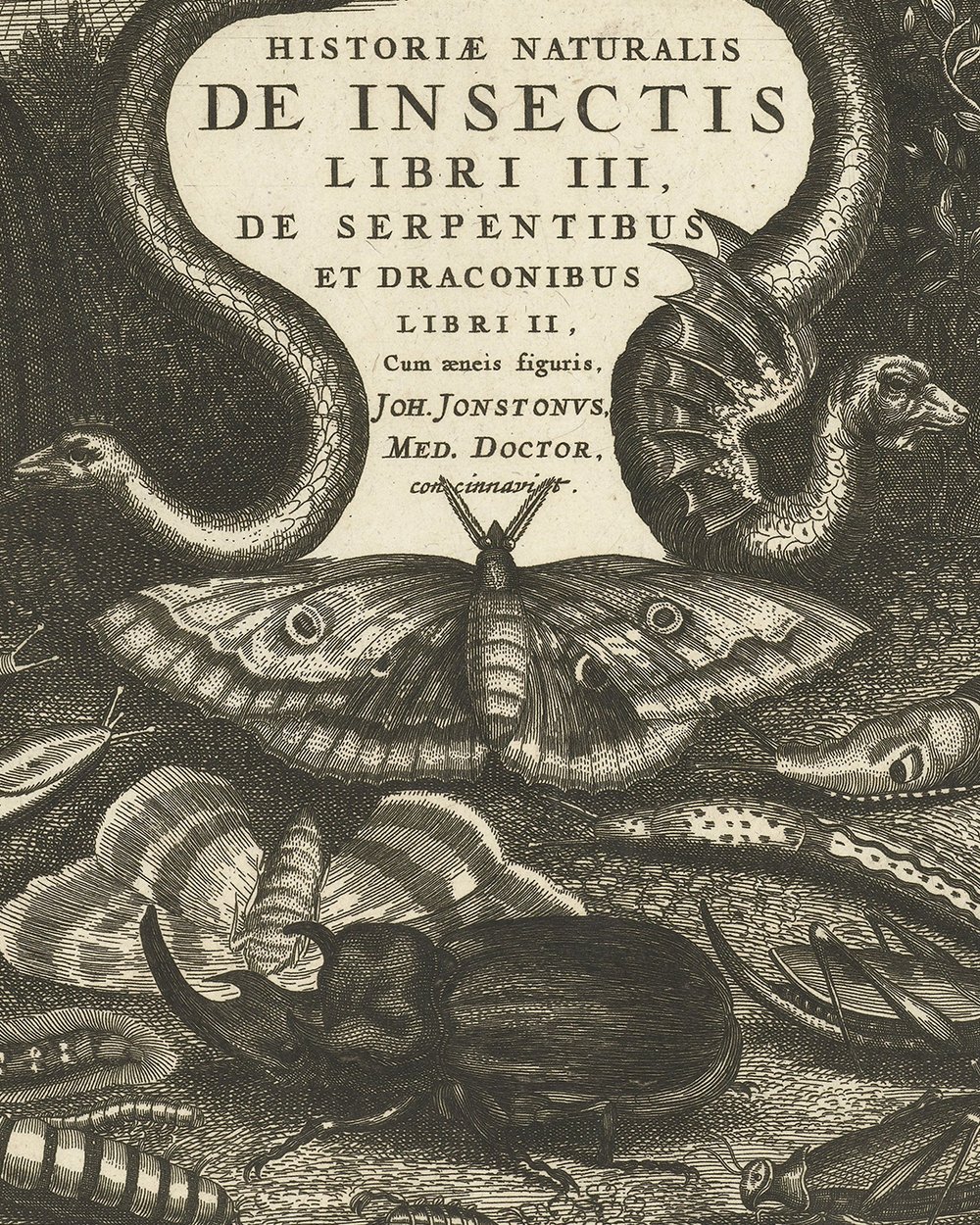 ''De Insectis'' (1657)
