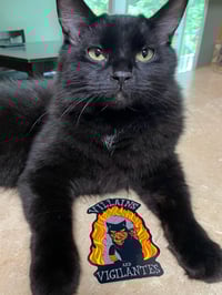 Image 2 of Unlawful & Unlucky Sticker