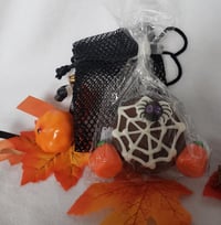 Cute and creepy chocolate spider with web