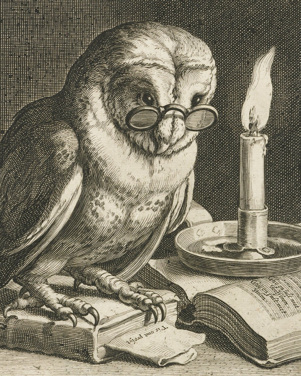 ''Owl with glasses and books'' (1625)