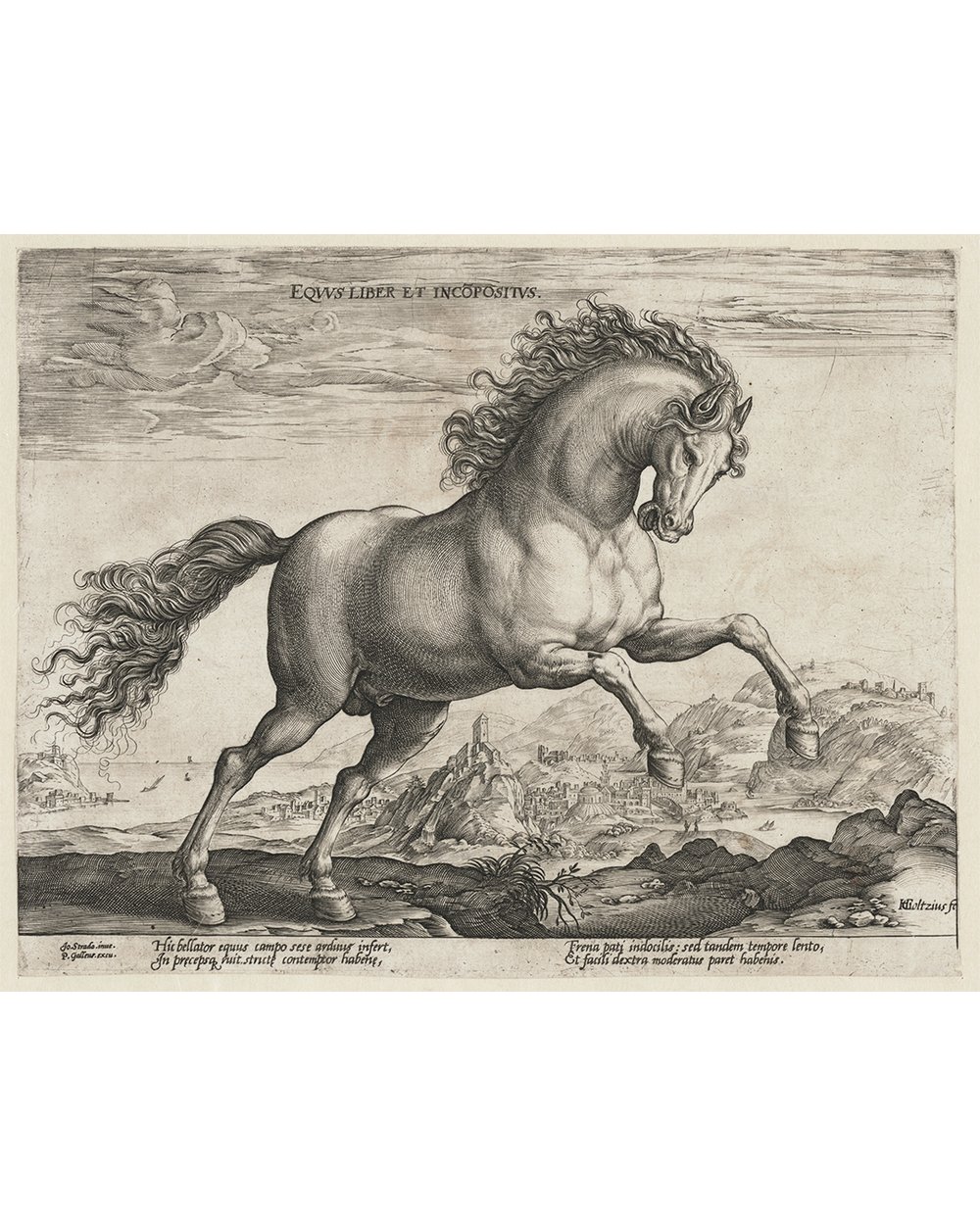 ''Wild horse'' (1577 - 1581)