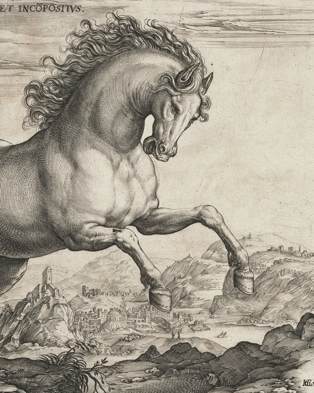 ''Wild horse'' (1577 - 1581)