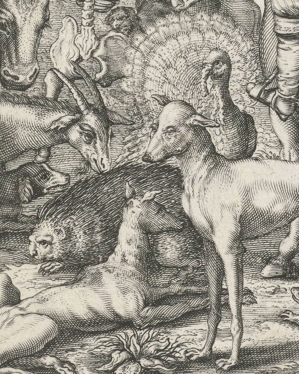 'Skeleton with arrow and falconer, in the middle of animals'' (1626)