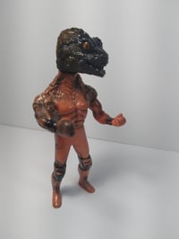 Image 4 of REPTILIAN INVADER black head tiger