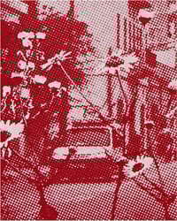 Image 3 of Dream of South TA