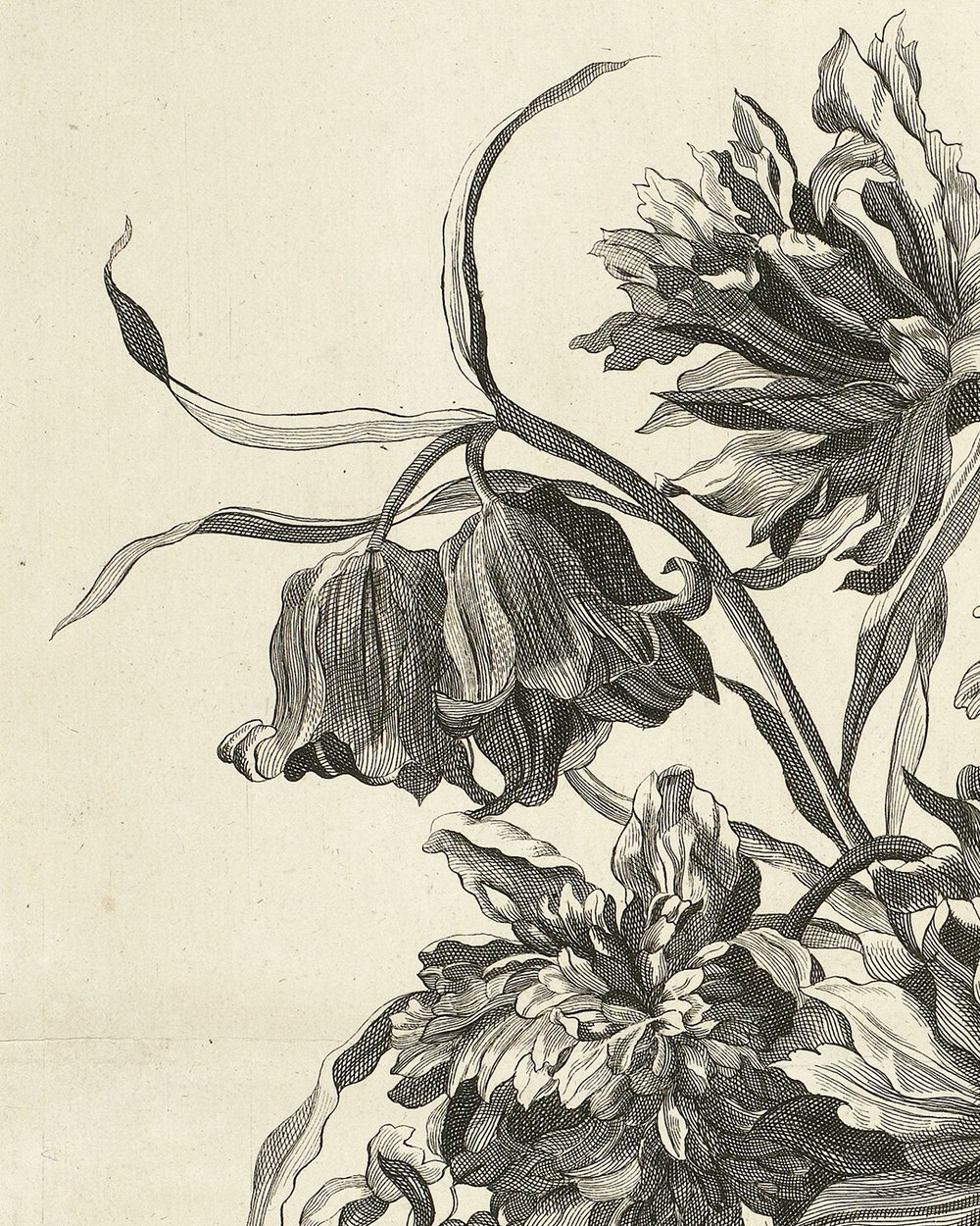 ''Vase with sunflower and other flowers'' (1690 - 1700)