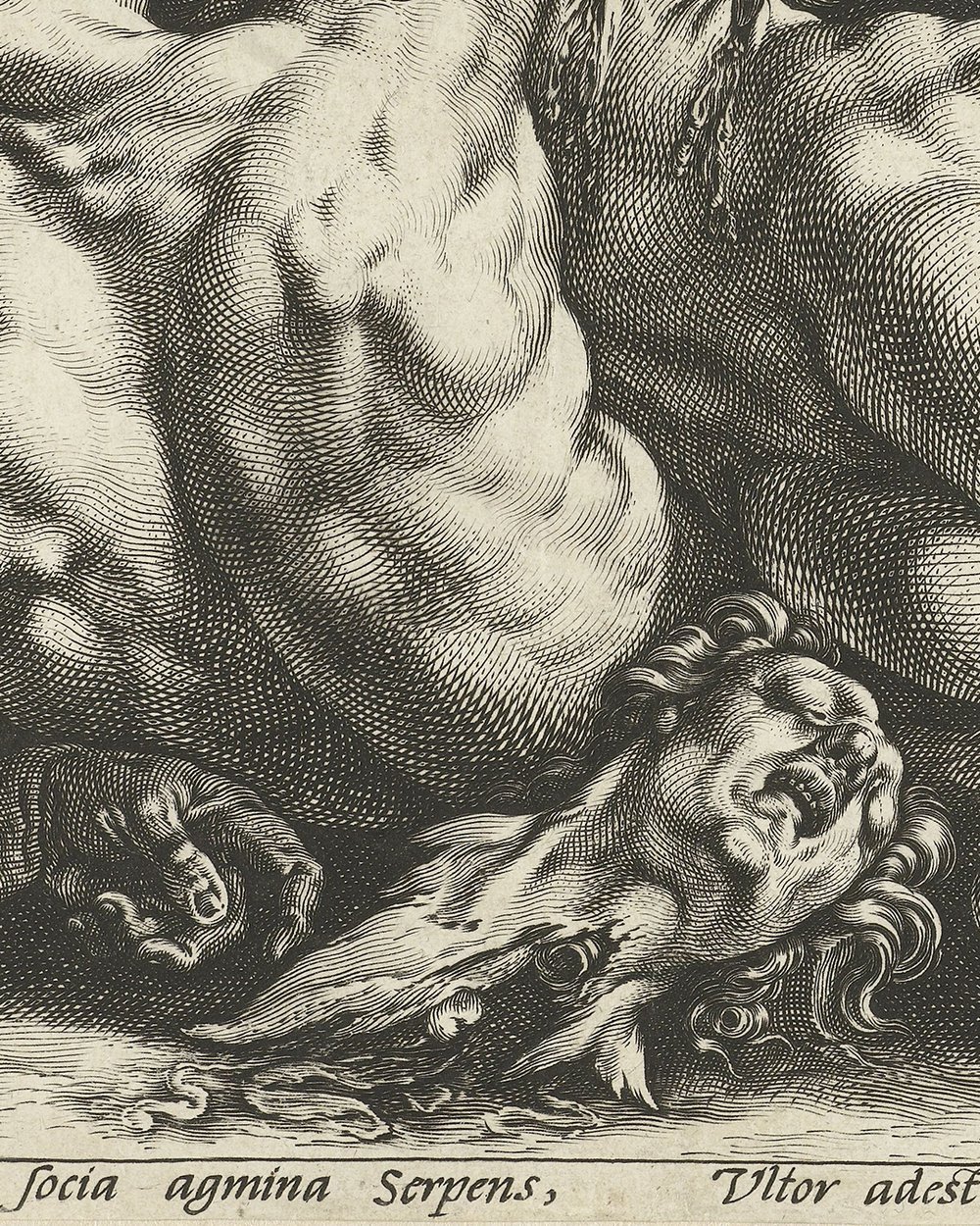 ''A dragon devouring the companions of Cadmus''(1588)