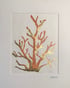 Coral 1 with Gold Leaf Image 2
