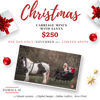 Santa Carriage Session Reservation