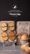 SET (of 4) - Eggs Limited Release Pin