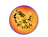 Sleepy Tiger (Medicated) 