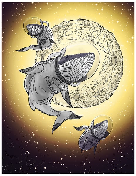 Image of ASTRO WHALES