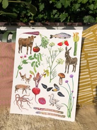 Image 3 of Fine art print | At the farm