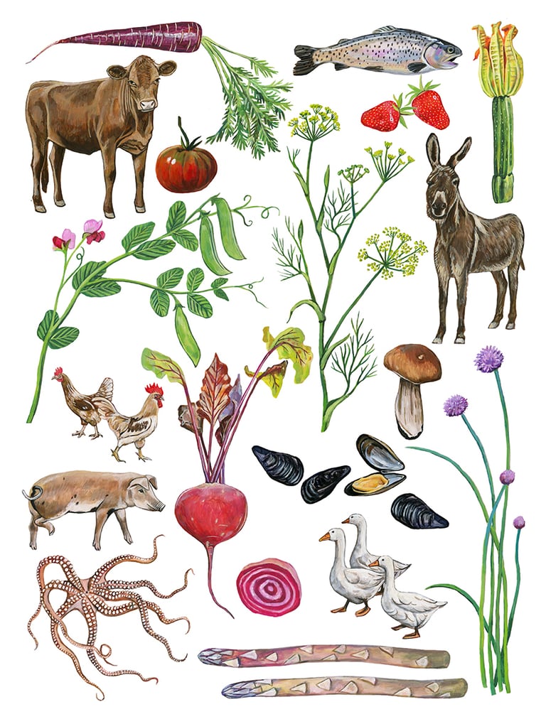 Fine art print | At the farm