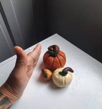 Image 3 of Pumpkin Trio