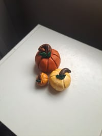 Image 2 of Pumpkin Trio