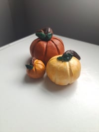 Image 1 of Pumpkin Trio