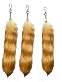 Image 2 of 10 inch real American raccoon tail fur light brown