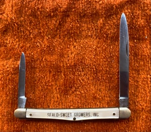 Image of Vintage Gerson Fruit Sampler Knife