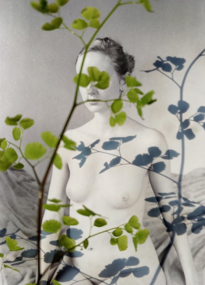 Image of january