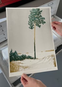 Image 4 of Brandenburg No. 3