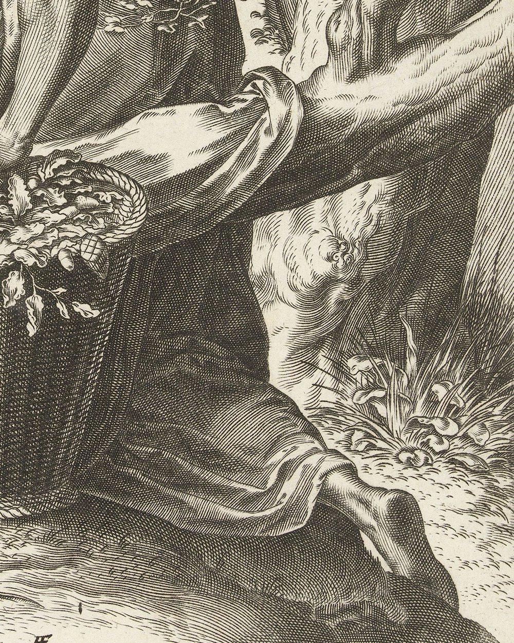 ''Dryad forests'' (1564)