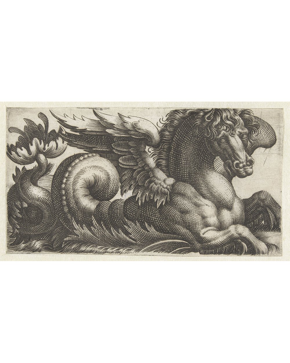 "Winged seahorse" (1580 - 1610)