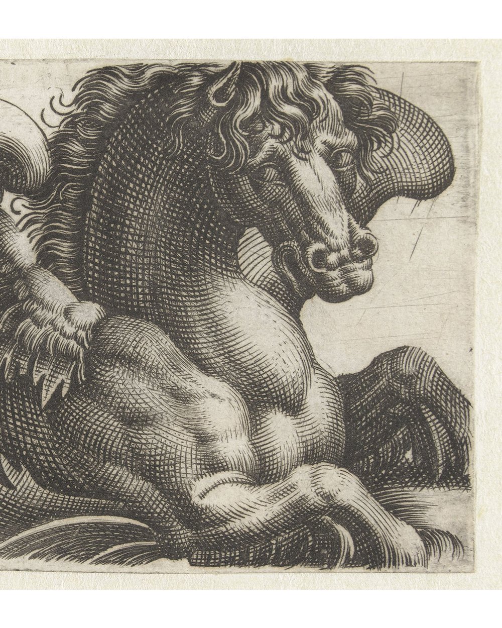 "Winged seahorse" (1580 - 1610)