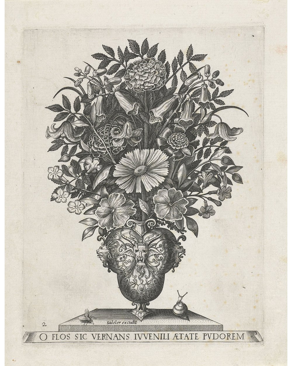 ''Grotesque vase with three mascarons'' (1500 - 1600)