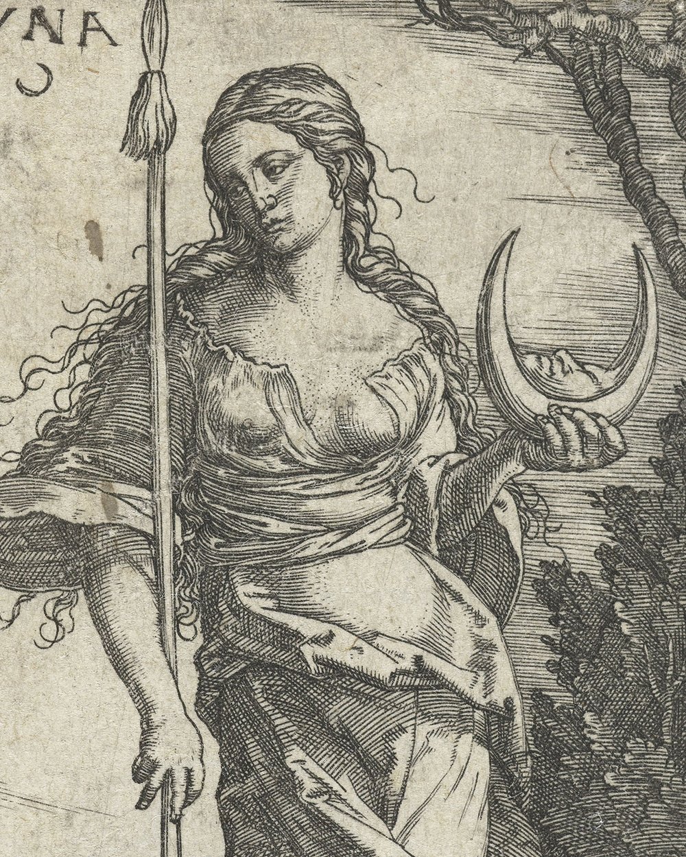 ''Diana'' (1529)