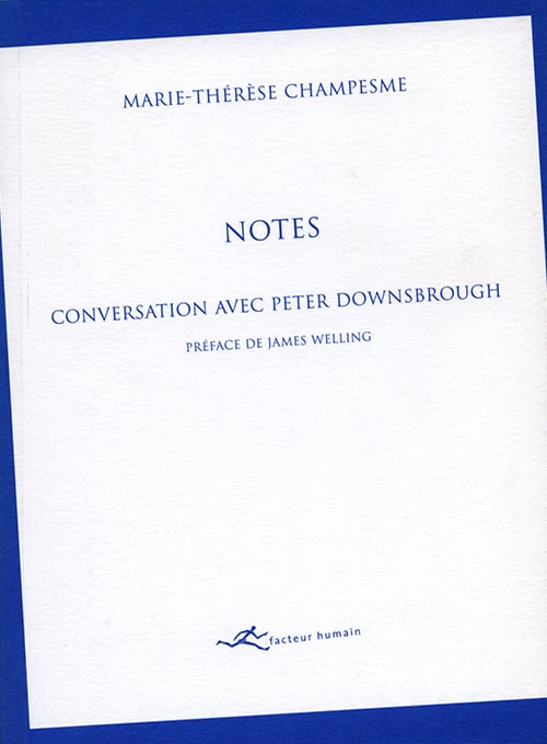 Notes — Conversation avec Peter Downsbrough
