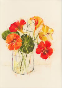 Vase of nasturtiums no. 4