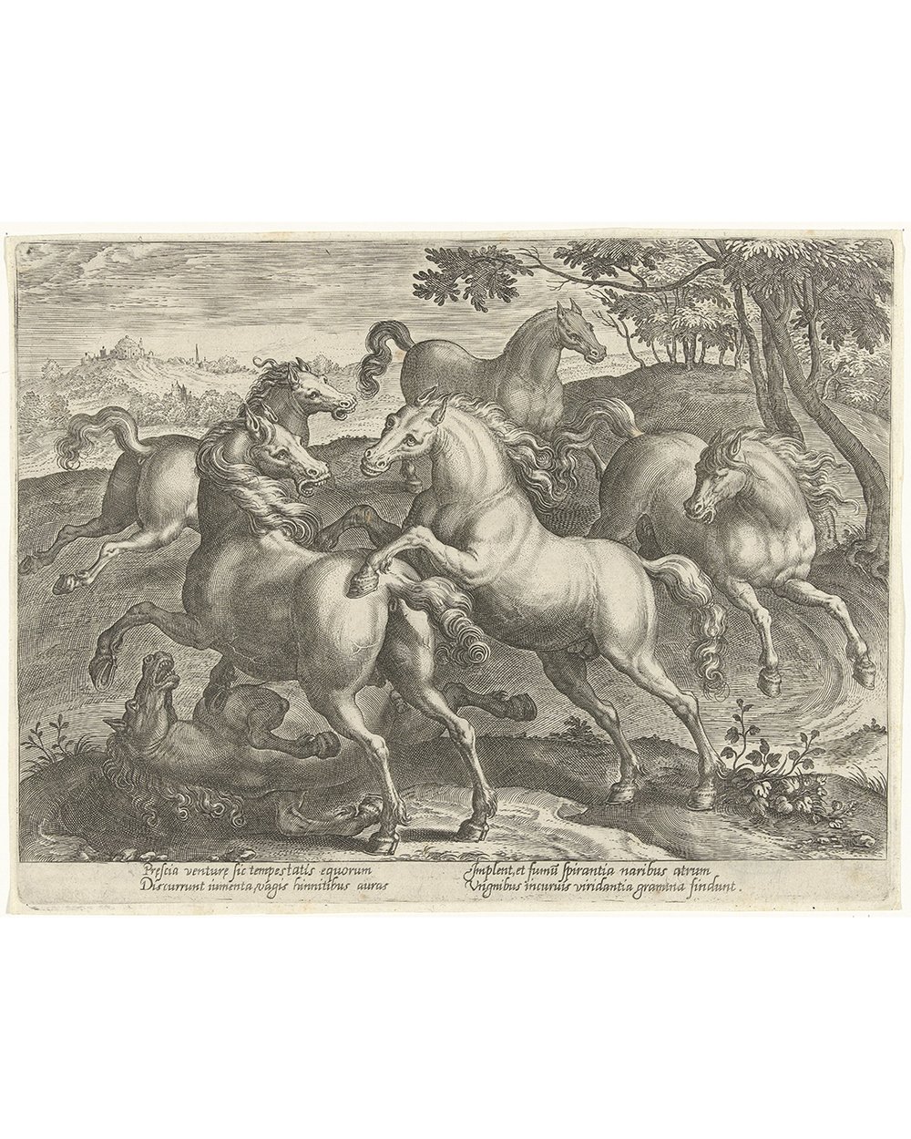 ''Six fighting horses'' (1578 - 1582)